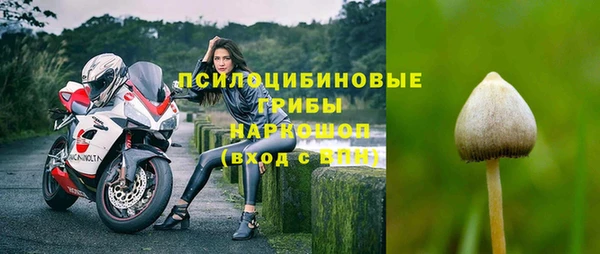 ГАЛЛЮЦИНОГЕННЫЕ ГРИБЫ Кулебаки