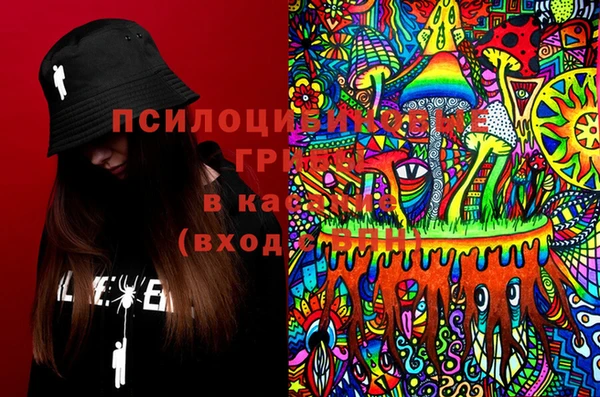 ГАЛЛЮЦИНОГЕННЫЕ ГРИБЫ Кулебаки